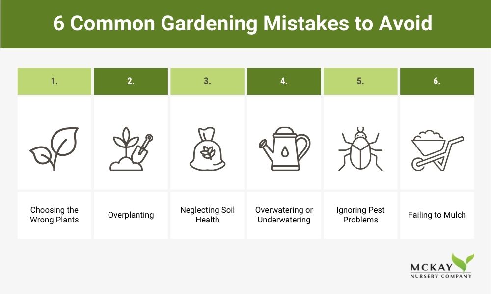 Commong Gardening Mistakes to Avoid