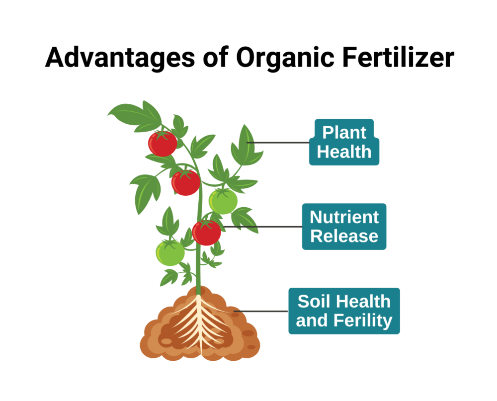 Advantages of Organic Fertilizer