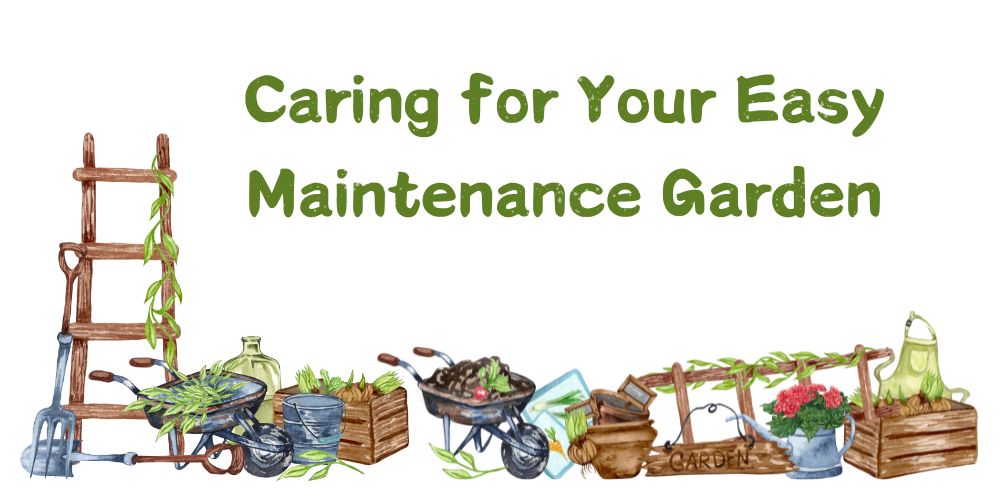 Caring for your Garden