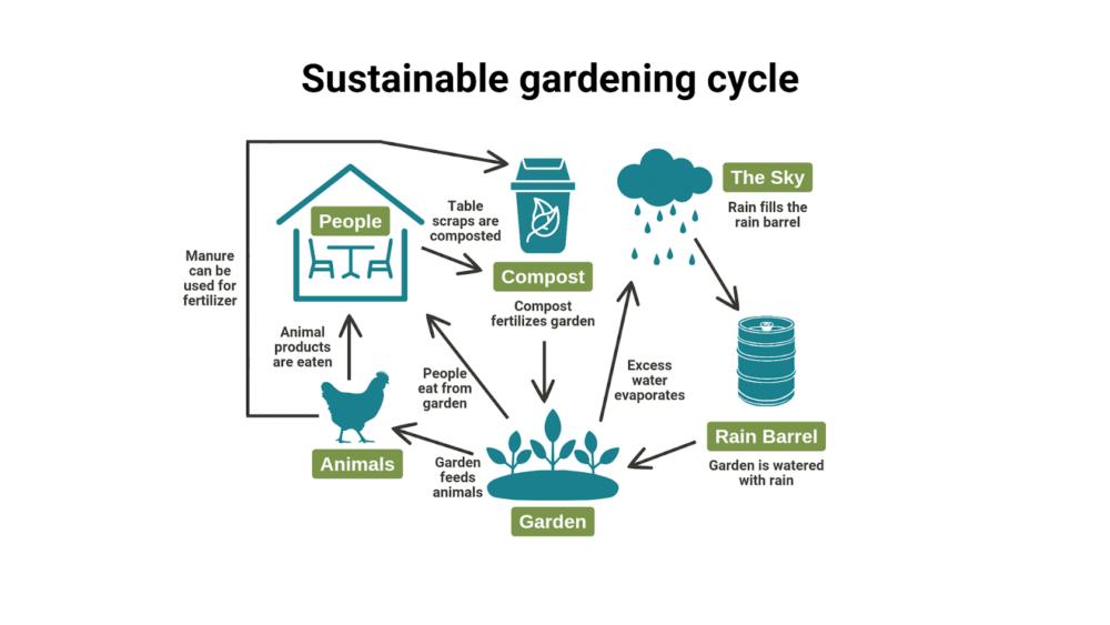 Sustainable Gardening Cycle