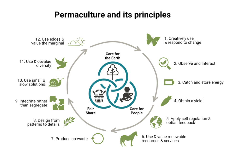 Permaculture Info