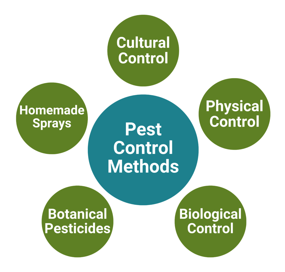 Pest Control Methods