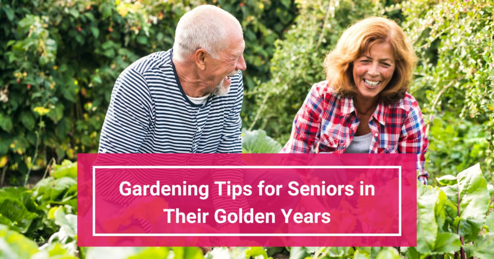 Gardening Tips for Seniors