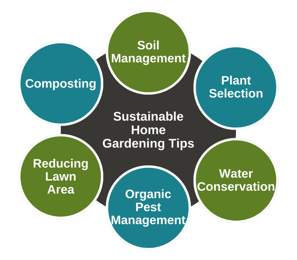 Sustainable Home Gardening Tips