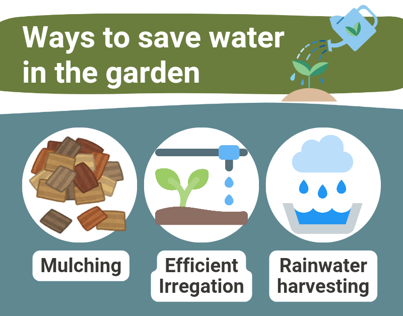 Water Saving Tips