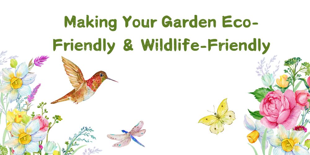 Wildlife-Friendly Garden Tips