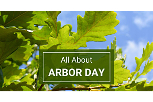 All About Arbor Day: History, Planting Tips &amp; More