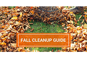 The Ultimate Fall Garden Cleanup Guide