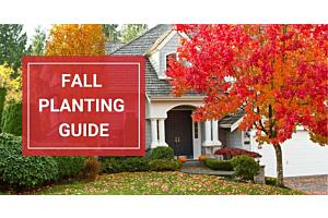 Fall Planting Guide