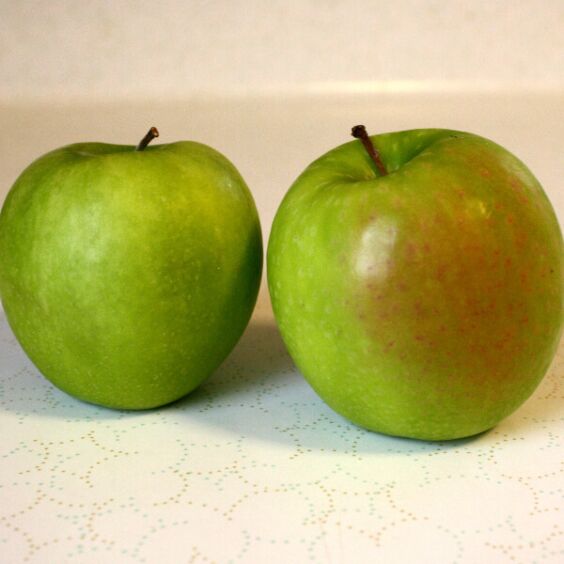 Organic Granny Smith Apples, Large, Apples