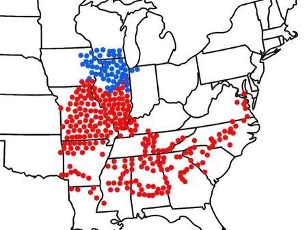 Cicada Emergence Map