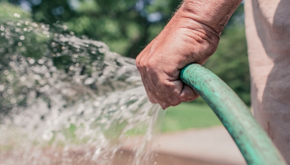 watering-garden-mistakes