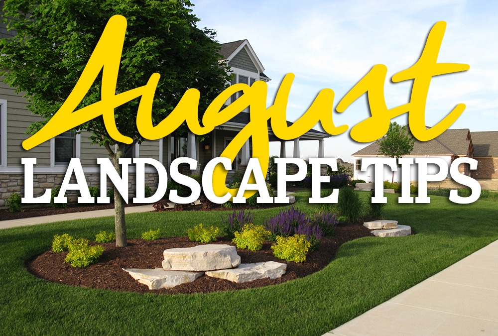 August Landscape Tips