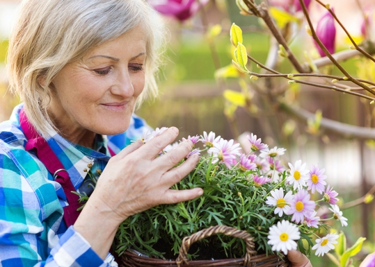 elderly-gardening-benefits