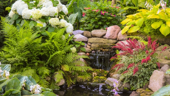 foliage-shade-gardens